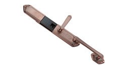 .龙岩三星指纹锁宁德松下指纹锁三明现代指纹锁莆田杨格指纹锁直销