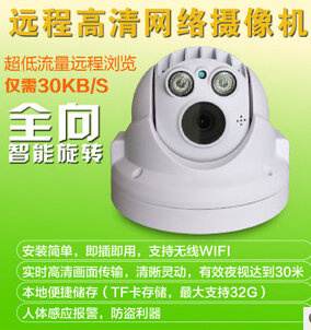 高清迷你网络球 网络高清迷你红外球荣天视直销