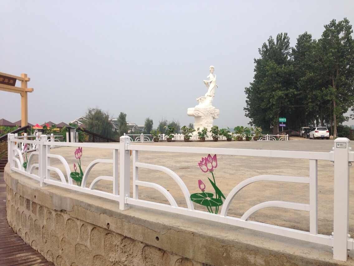 瞬通护栏-交通护栏带您去发现荷花最美的地方