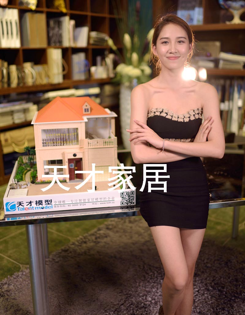 天才智能家居演示模型