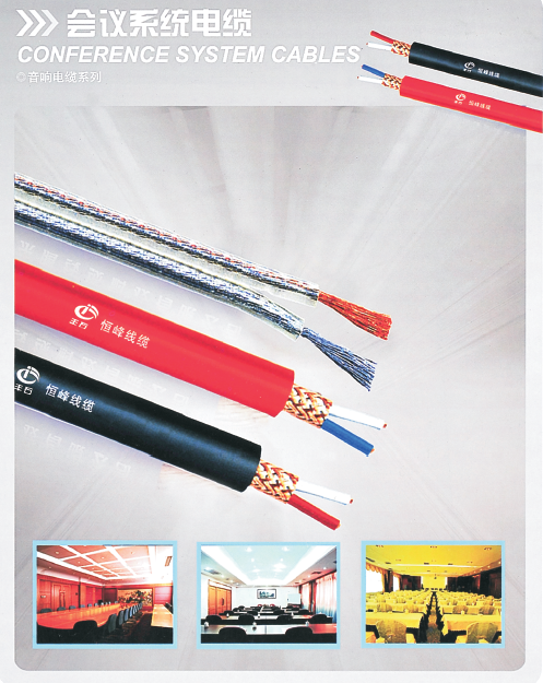 音响线缆 金银线