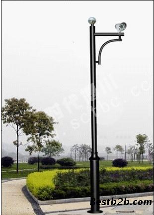 LT-L3500圆形大小头监控立杆