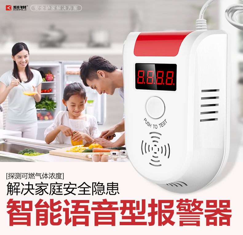 可燃气体探测器，天燃气探测器，煤气探测器