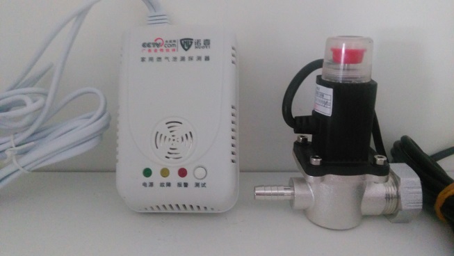 供应批发 NY-X2壁挂式家用然气报警器价格排名 央视网推广品牌