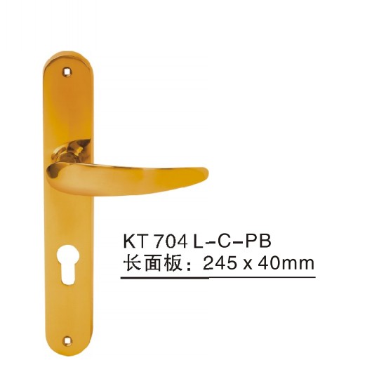深圳代理SCHLAGE西勒奇住宅门锁KT704L