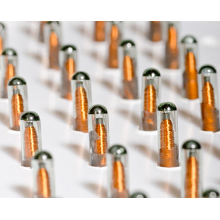 RFID电子标签-玻璃管Vigo （高频）Glass Tag Vigo 12mm 6B0201