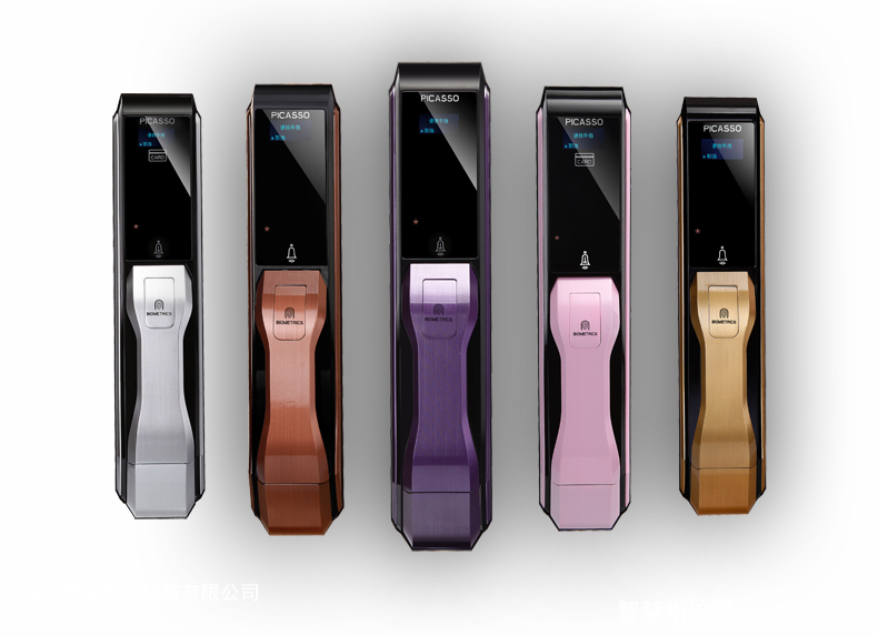 法国毕加索智能指纹锁