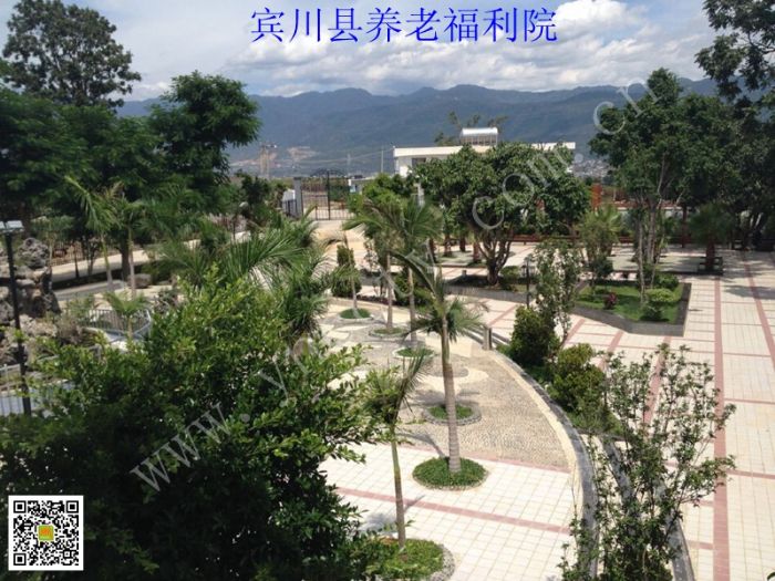 宾川县养老福利院网络高清视频监控系统