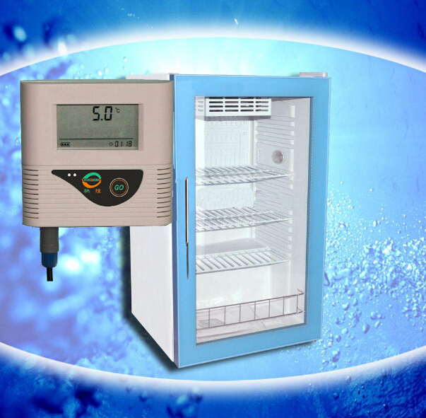 两通道低温温度记录仪