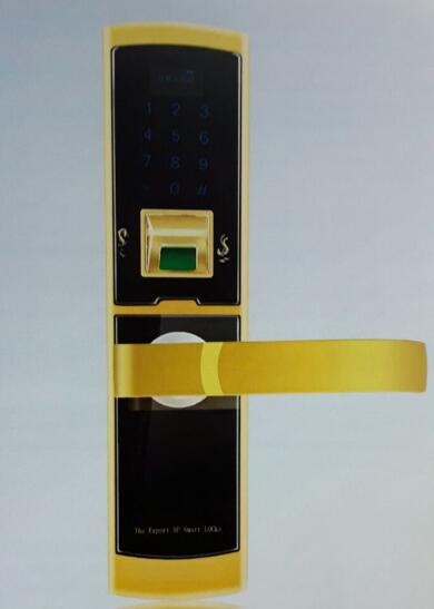 DSMR6609指纹密码锁