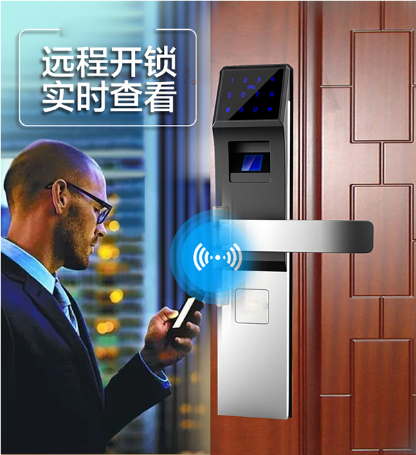 智能防盗门锁, 智能门锁，智能密码锁，远程控制锁，点子锁，智能门锁系统方案