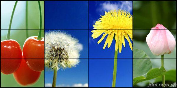 张家口46寸拼接墙厂家