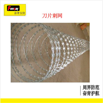 刀片电子围栏 奋青安防刀片防护系统