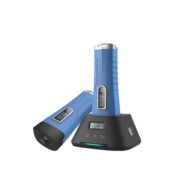 兰德华数码型智能云巡巡更棒