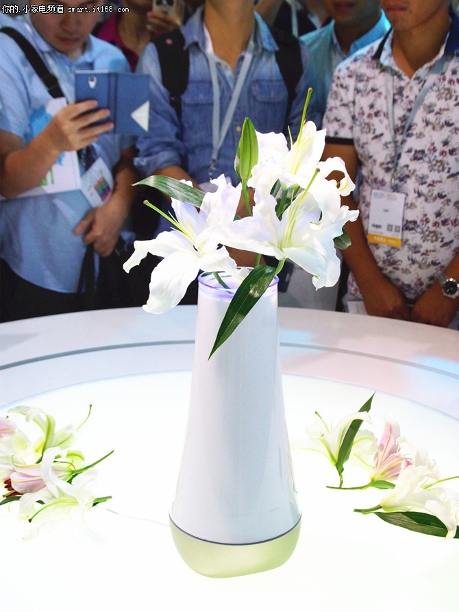 物联智能家居招商加盟梦想之花