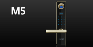 2016年十大指纹锁品牌最新排行榜