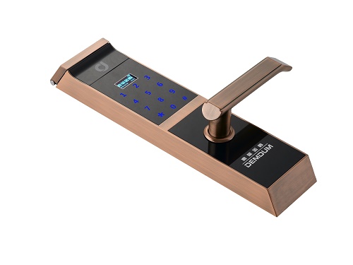 云端指纹密码锁 小项目投资