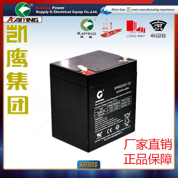 12V5AH音响专用电池电动卷门电池