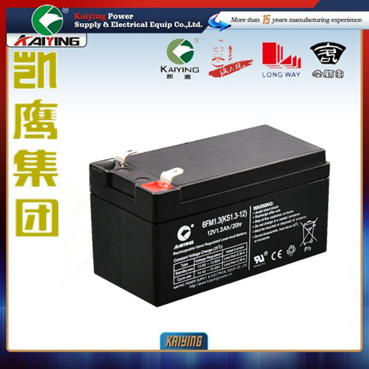 12V1.3AH蓄电池门禁备用电源扩音器