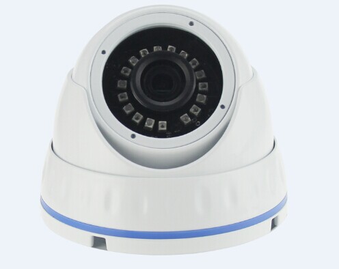 Longse长视/红外网络摄像机/LIRDNS100/1MP