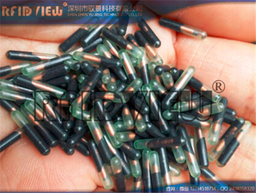 玻璃管电子标签YJ-B134，宠物芯片，植入式芯片