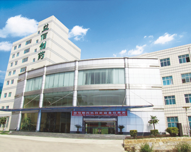 智能监控系统工程项目