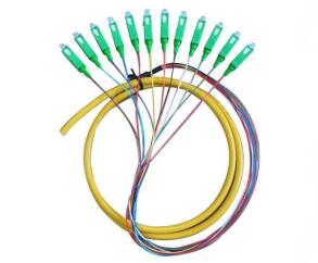 方头12芯束状尾纤12芯单模束状尾纤