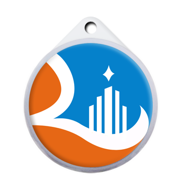 平安城市网络监控系统