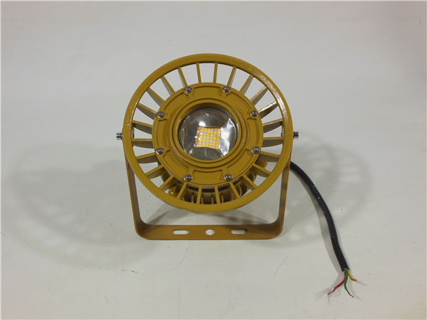 LED防爆投光灯20W30W40W化工厂防爆平台灯