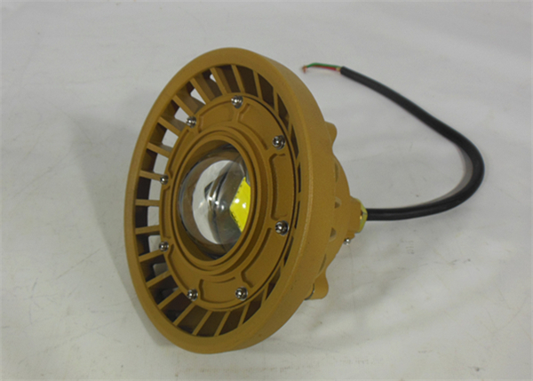 护栏式法兰式防爆灯 LED防爆投光灯20W30W护栏式防爆灯