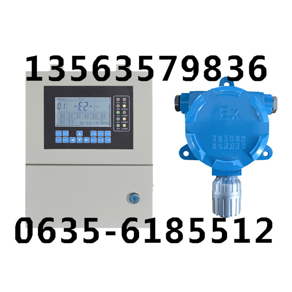 氟化氢测漏仪报警器