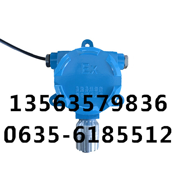 现货供应 乙醇气体泄漏检测仪报警器