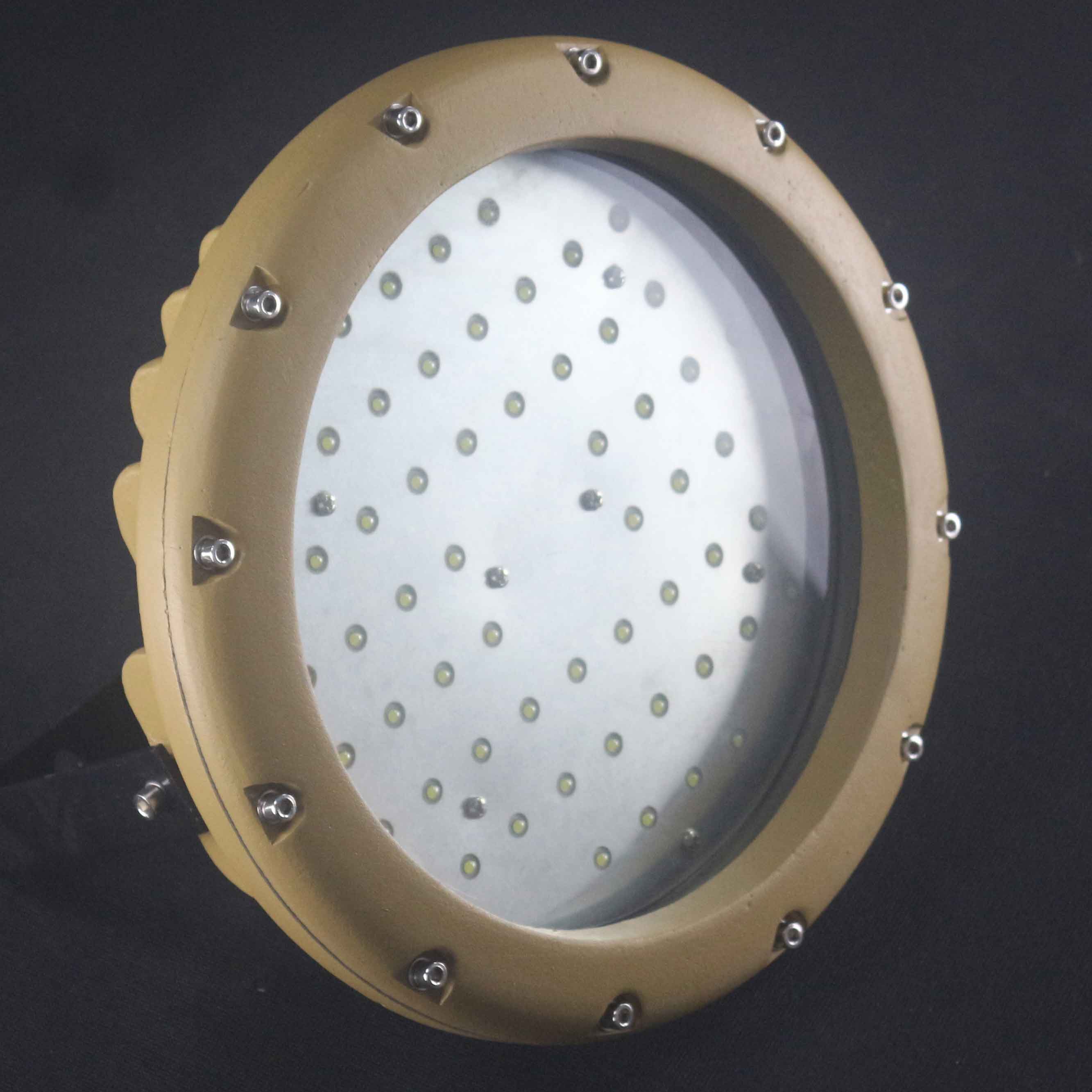 厂家供应【圆形LED防爆灯】 60W 80W 100W