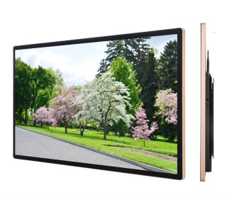 46寸网络版广告机