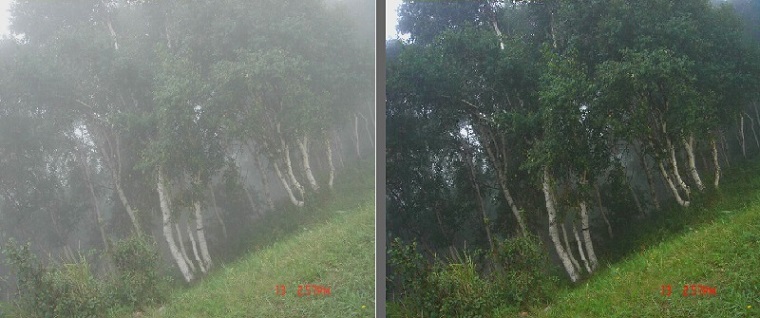 专业图像处理分析系统