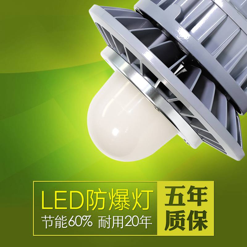 LED粉尘防爆灯 工业仓库厂房泛光灯加油站投光灯矿用照明三防顶灯