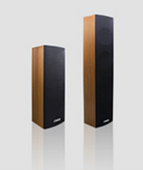 DSPPA迪士普DSP203/DSP403室内壁挂音柱