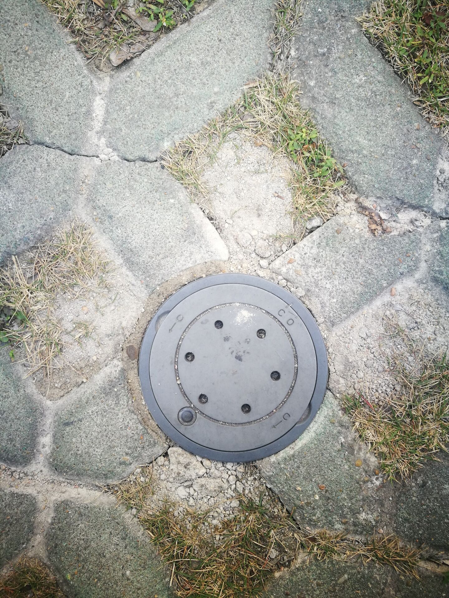 DDA应用案例之路侧停车收费系统