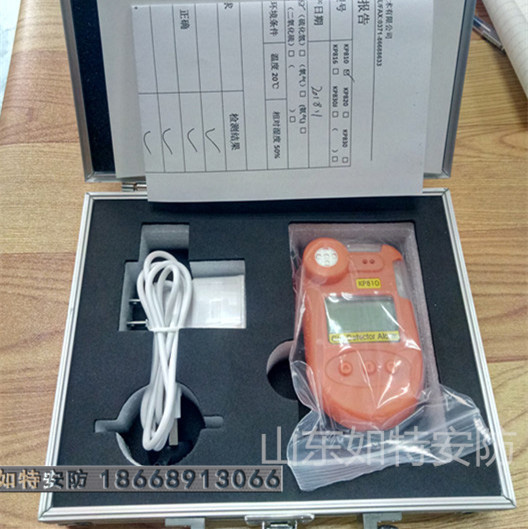 CL2浓度安全检测仪 直插式模块方便更换传感器