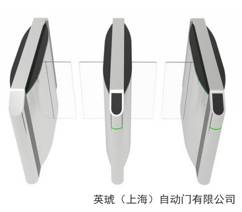 供应英琥RG300进出口翼闸 人行通道翼闸 智能门禁翼闸