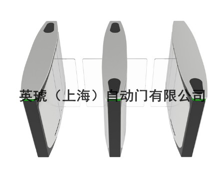 供应英琥RG500出入口控制翼闸 通道翼闸 翼闸门禁系统