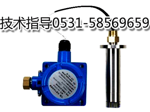 燃气报警器 现场声光显示气体探测器