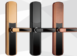 红古铜 指纹刷卡 钥匙 密码 遥控智能锁