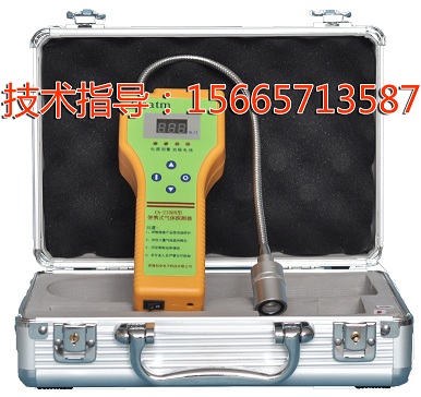 可燃气体报警仪 气体泄漏检测仪