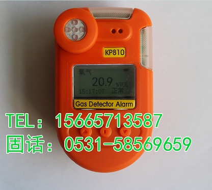 KP810一氧化二氮报警仪 笑气浓度检测仪