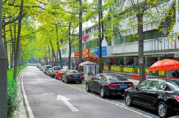 路边泊位系统设置原则