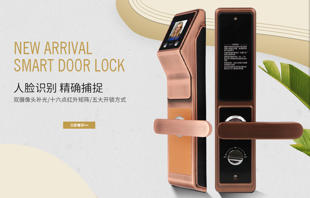 东莞欧陆晟世智能生物人脸识别锁