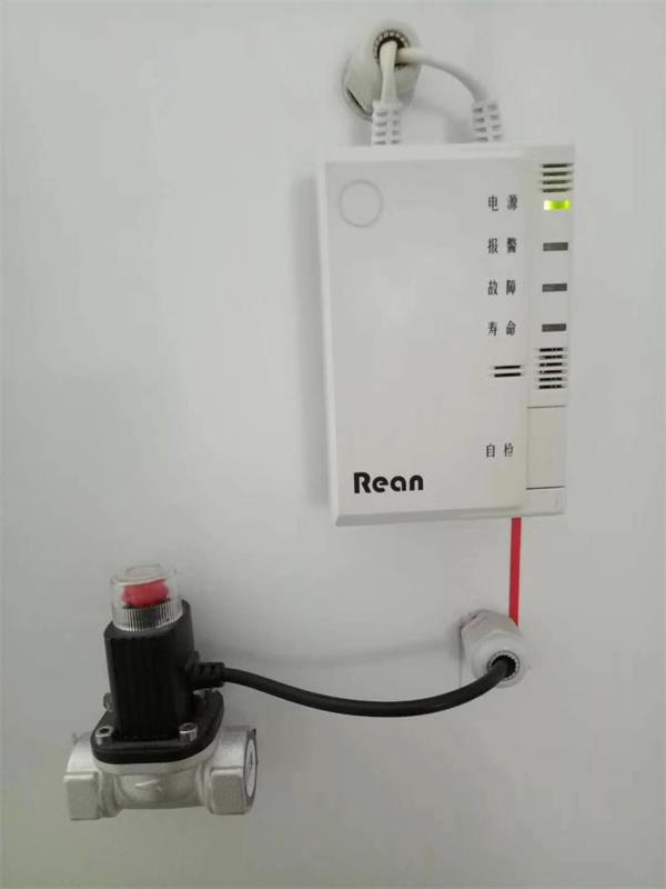 力科-大庆家用燃气报警器 同时检测三种家用燃气