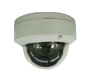 中视伟业-楼层显示摄像机-字符叠加-200万-H.265