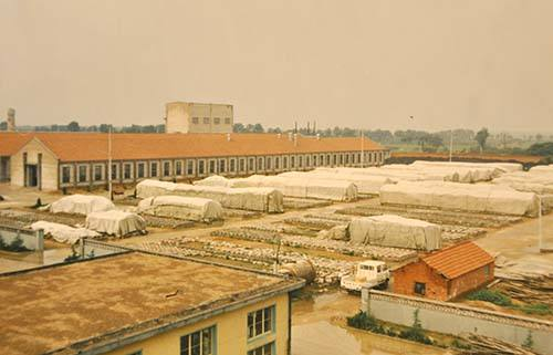 烟草专卖局防雷装置检测-烟草公司防雷设施验收报告